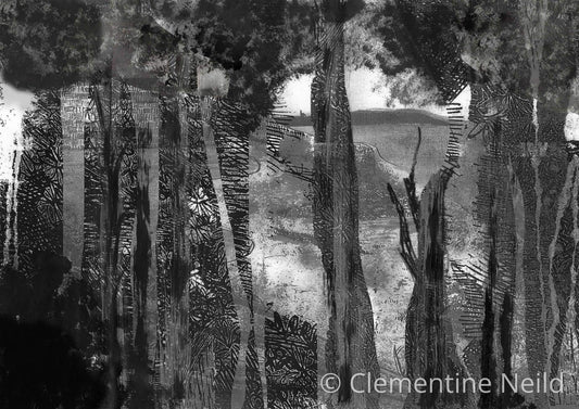 Loe Bar Through the Trees
