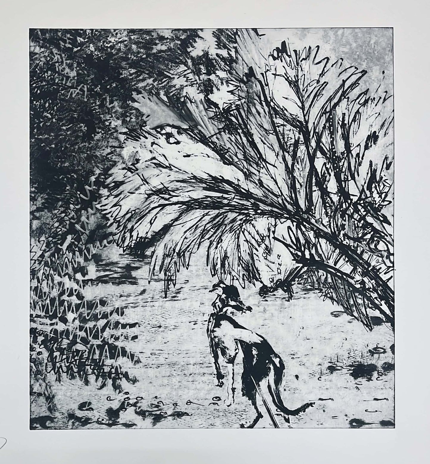 Through the Gunnera Passage