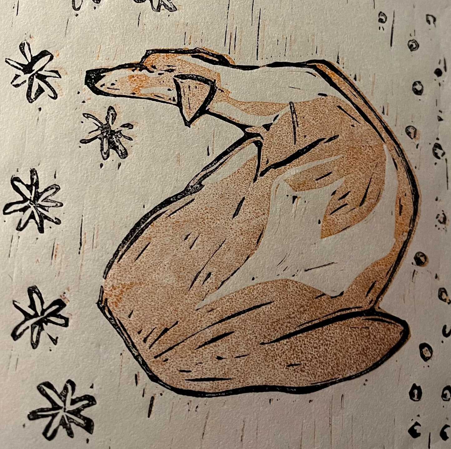 Studio Dog