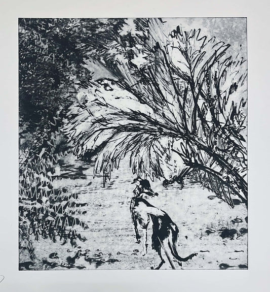 Through the Gunnera Passage